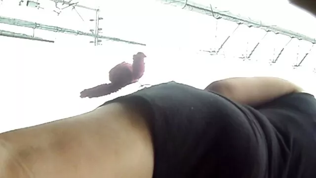 Sofia étudiante porno arab gratwi latina se fait pilonner